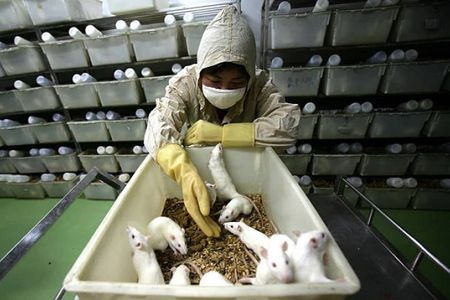 Yaponiyada qocalığın qarşısını alan peyvənd hazırlanıb