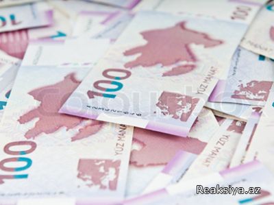 Silahlı Qüvvələrə Yardım Fondundakı vəsait açıqlandı