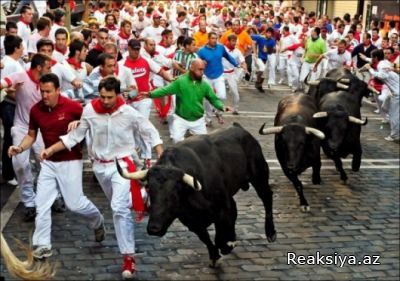 7 nəfər öküzlərin qurbanı oldu