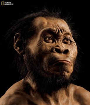 İnsanın yeni əcdadı tapıldı - Homo Naledi