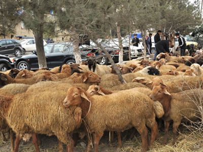 Nazirlik Qurban bayramı ilə əlaqədar əmr imzaladı