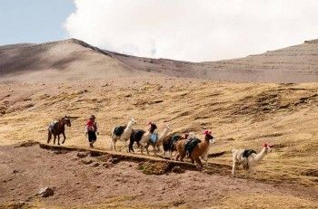 Qırğızlar Rus Çarlığı dövründə soyqırıma məruz qaldıqlarını iddia edirlər