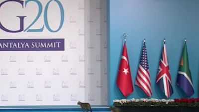 G20 sammitinə "dəvətsiz qonaqlar" gəldi - VİDEO