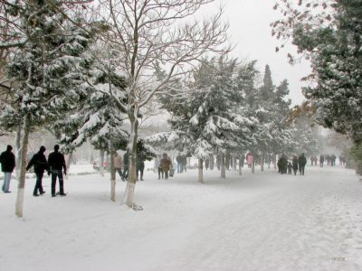 Sabah hava necə olacaq?