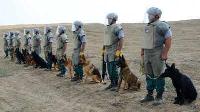 ANAMA cəbhəyanı ərazilərdə çevik qruplar yaradıb