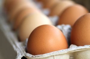 Nazirlik: Yumurtaların keyfiyyətində heç bir nöqsan aşkar edilməyib