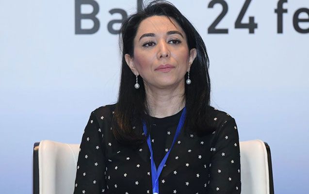 Ombudsman Gəncədə faktaraşdırıcı missiya həyata keçirir