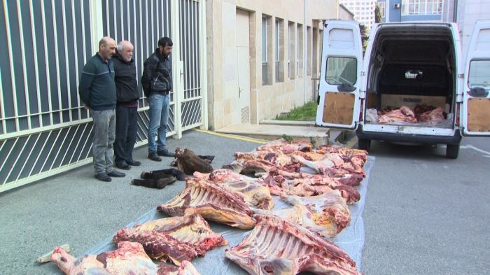 Daha bir "leş mafiyası" saxlanıldı - VİDEO