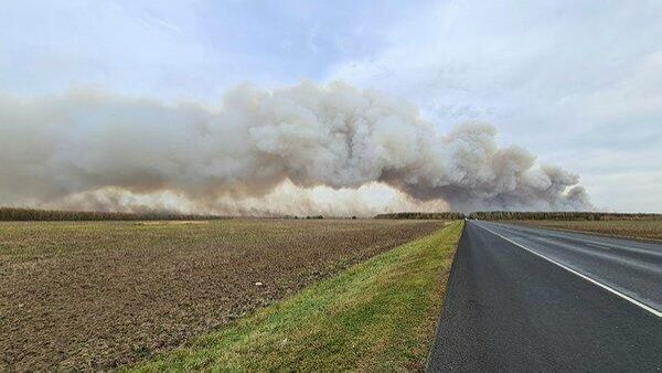 Ukrayna Smolenskdə zavodu vurdu: 4 ölü, 4 yaralı