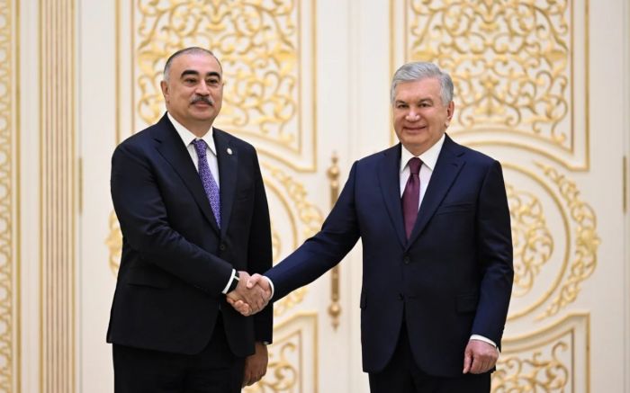 Rəşad Məmmədov etimadnaməsini Şavkat Mirziyoyevə təqdim etdi - FOTOLAR